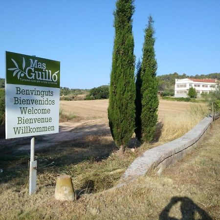 La Nursery De Mas Guillo San Quintín de Mediona 外观 照片