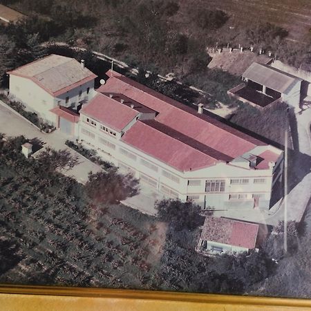 La Nursery De Mas Guillo San Quintín de Mediona 外观 照片